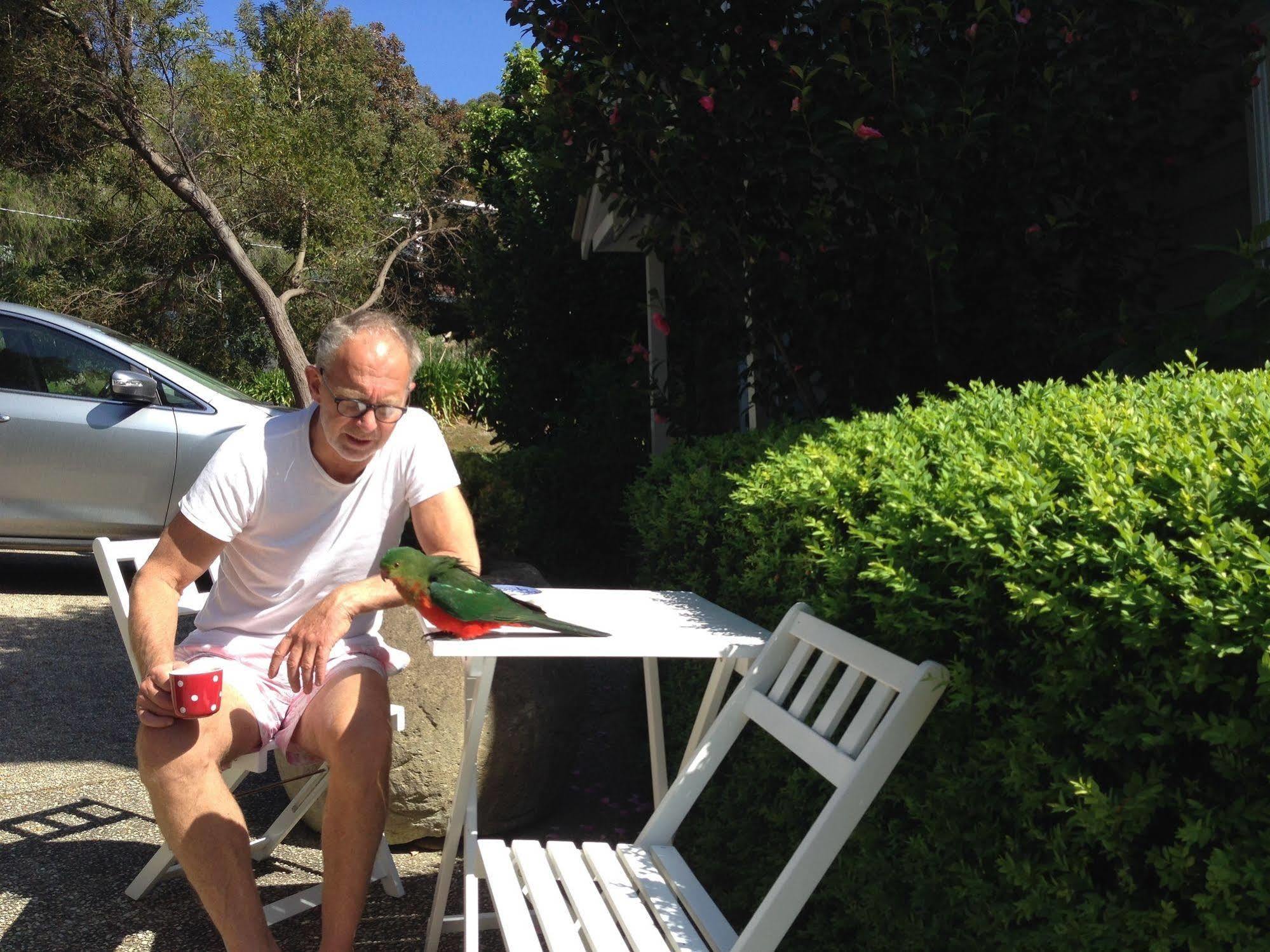 La Perouse Lorne Bed & Breakfast Bagian luar foto